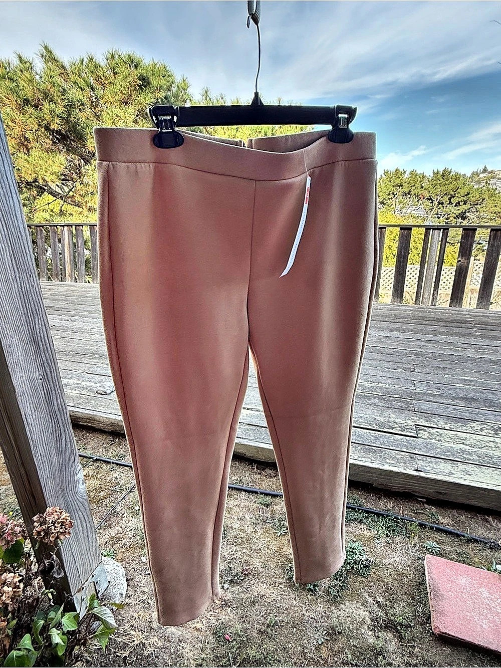 NWT Jude Connally Olivia Ankle Pant Camel Faux Suede Size L